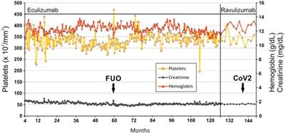First Report on Successful Conversion of Long-Term Treatment of Recurrent Atypical Hemolytic Uremic Syndrome With Eculizumab to Ravulizumab in a Renal Transplant Patient